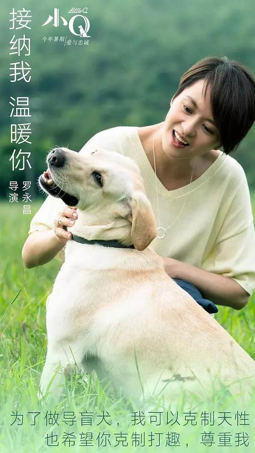 山东省的高中毕业证什么样的